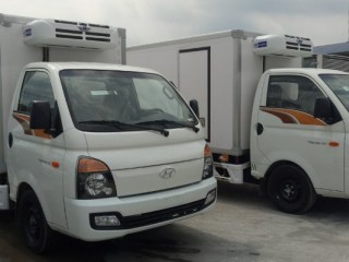 Xe tải Hyundai porter H150 thùng đông lạnh